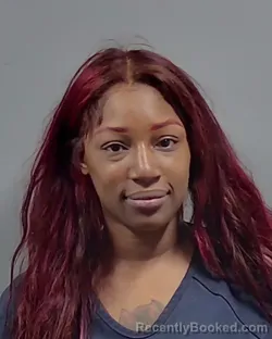 Mugshot of TIERRA JANAYE SHELBY