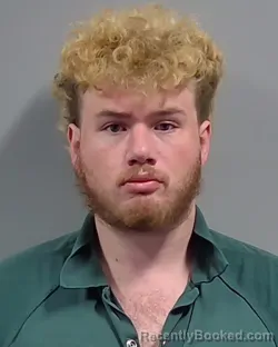 Mugshot of TAYLOR LEE CARROLL