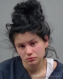 Mugshot of LIYA RACHEL SCHREIBER