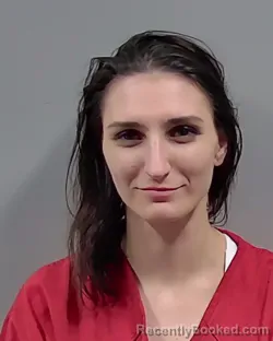 Mugshot of DEBORAH LYNN TIEDEMANN