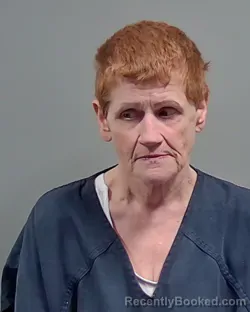 Mugshot of DEBRA KAY COLVIN