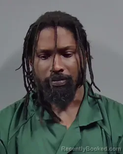 Mugshot of LOUIS HERRING