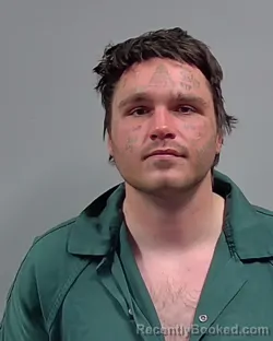 Mugshot of GAVEN NELSON TARR