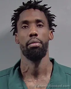 Mugshot of CHRISTOPHER BERNARD MCKINNEY