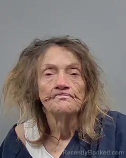 Mugshot of KATHRYN LOU WILKINS