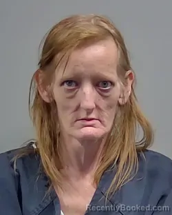 Mugshot of MARY DIANE PLOWMAN