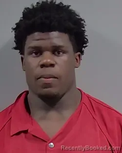 Mugshot of TIERRA LAWNDELL WILSON booked in Escambia County, Florida on March 15, 2026