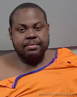 Mugshot of TERRY LORENZO RICKETTS