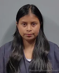 Mugshot of TELMA LUCRECIA ICO CHIQUIN booked in Escambia County, Florida on March 22, 2026