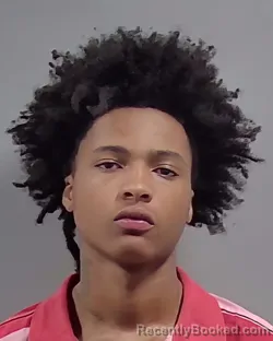 Mugshot of CHARM NEVAH FAILS booked in Escambia County, Florida on March 24, 2026