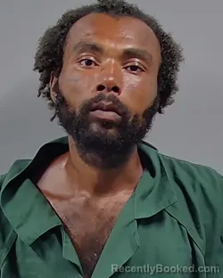 Mugshot of XAVIER LOVE BROWN booked in Escambia County, Florida on March 29, 2026