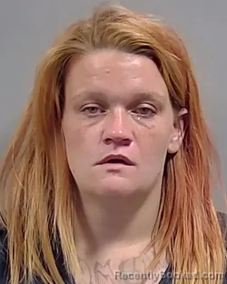 Mugshot of STORMIE LYNN BROWN booked in Escambia County, Florida on April 2, 2026