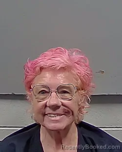 Mugshot of JO ANN BOWLES booked in Escambia County, Florida on April 27, 2026