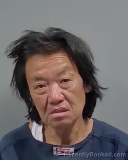 Mugshot of HYE CHONG PALESCHIC booked in Escambia County, Florida on July 7, 2026