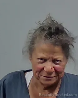 Mugshot of VIRGINIA COLONN MELIDONIS booked in Escambia County, Florida on July 8, 2026