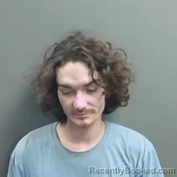 Mugshot of James Ronald McGowan