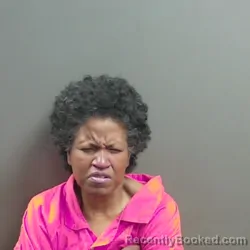 Mugshot of Tamara Lynn Mitchell