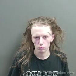 Mugshot of Dylan Lee Dyer