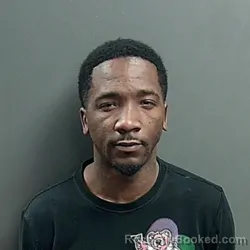 Booking photo from Grant County, Indiana