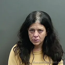 Mugshot of Micki Lynn Clevenger
