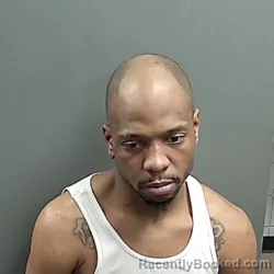 Mugshot of Troylan Lynn Estelle