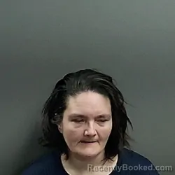 Mugshot of Brittany Nicole Hahn