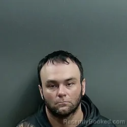 Mugshot of Brett Allen Fox