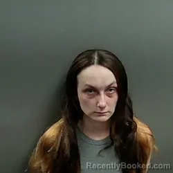 Mugshot of Amanda Rene Lake