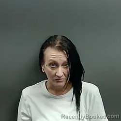 Mugshot of Brittany Nicole Wolfgang