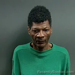 Mugshot of Terry Lamont Wilson