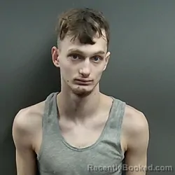 Mugshot of Aaron James Rayne Isaacs