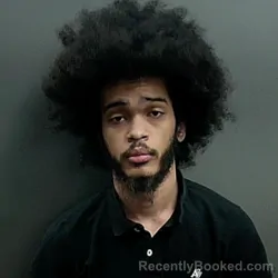 Mugshot of Naaman Dewitt Woolens