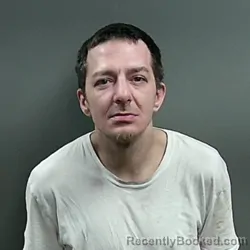 Mugshot of Levi William Holloway