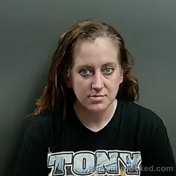 Mugshot of Amanda Handy booked in Grant County, Indiana on April 10, 2026