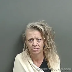 Mugshot of Cheryl Elaine Adamson booked in Grant County, Indiana on July 5, 2026