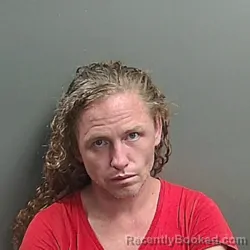 Mugshot of Randy Allen Brashear booked in Grant County, Indiana on July 5, 2026