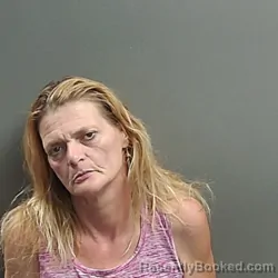 Mugshot of Amanda Marie Fleming booked in Grant County, Indiana on July 9, 2026