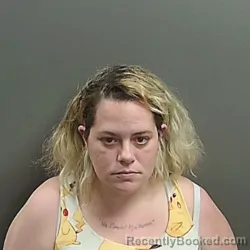 Mugshot of Lacie Jane Southwick booked in Grant County, Indiana on July 14, 2026
