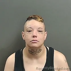 Mugshot of Kimberly Ann Collier booked in Grant County, Indiana on July 30, 2026