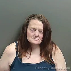 Mugshot of Tammy Joe Timmons booked in Grant County, Indiana on August 25, 2026