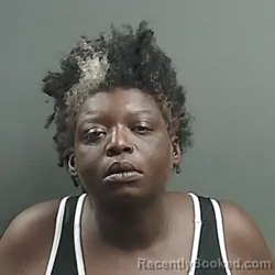 Mugshot of Shanklin Kimberly Burnett booked in Grant County, Indiana on September 14, 2026