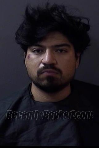 Booking photo from Hamilton County, Indiana