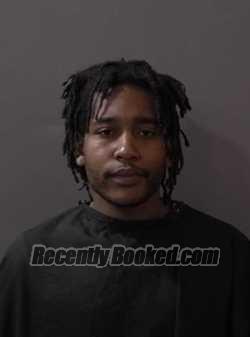 Booking photo from Hamilton County, Indiana