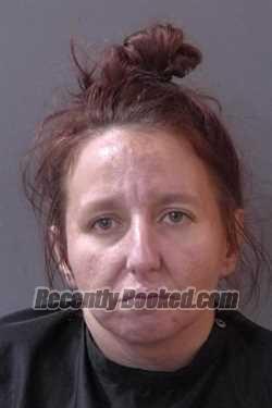 Booking photo from Hamilton County, Indiana