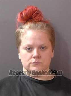 Booking photo from Hamilton County, Indiana