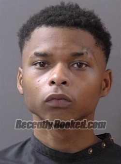 Booking photo from Hamilton County, Indiana