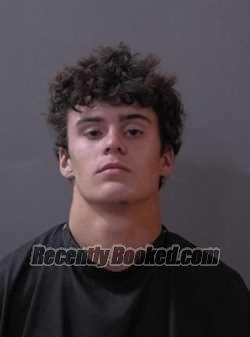 Booking photo from Hamilton County, Indiana