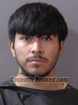 Booking photo from Hamilton County, Indiana