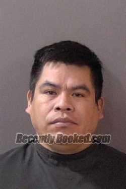 Booking photo from Hamilton County, Indiana