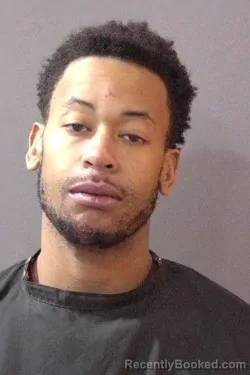 Booking photo from Hamilton County, Indiana